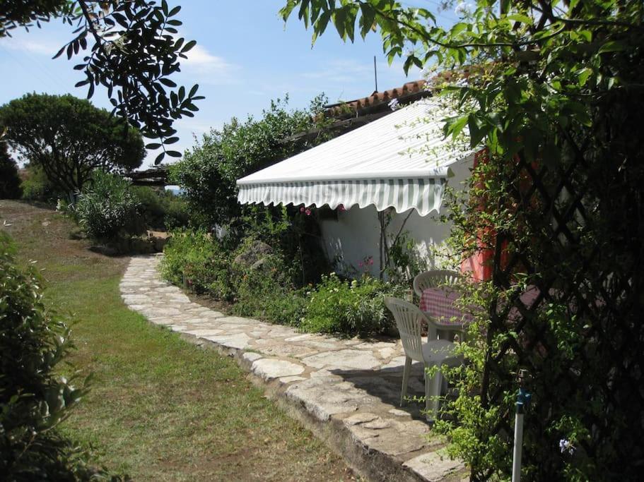 Villa Sara Олбия Екстериор снимка